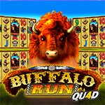 Buffalo Run Quad